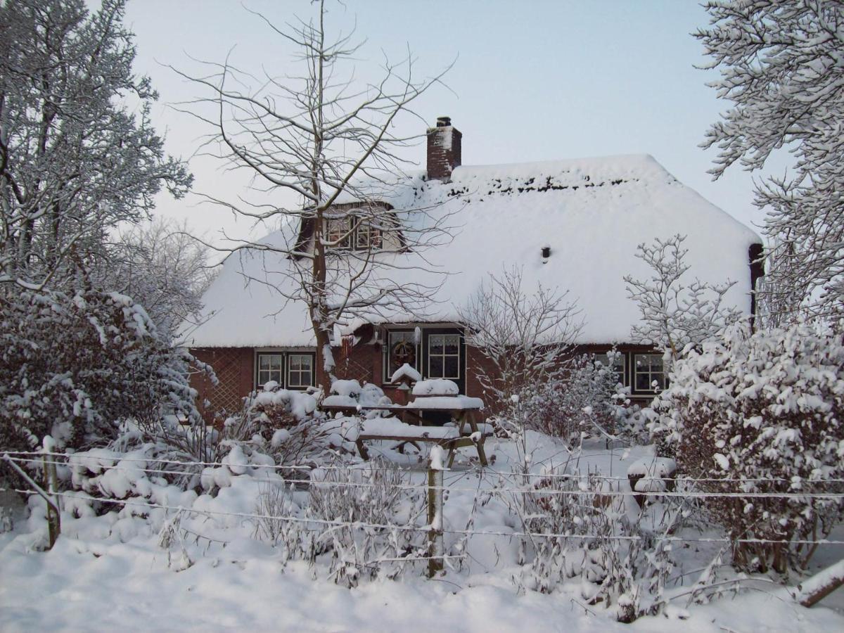 Anton'S Erfje Vila Dalfsen Exterior foto
